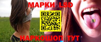 прущие грибы Гусиноозёрск