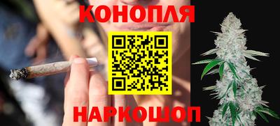 прущие грибы Гусиноозёрск