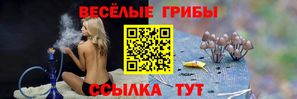 Галлюциногенные грибы прущие грибы Моздок